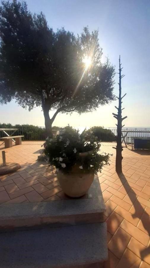 Hotel Turismo Rurale Villa Maria Caterina Cala Gonone Eksteriør billede