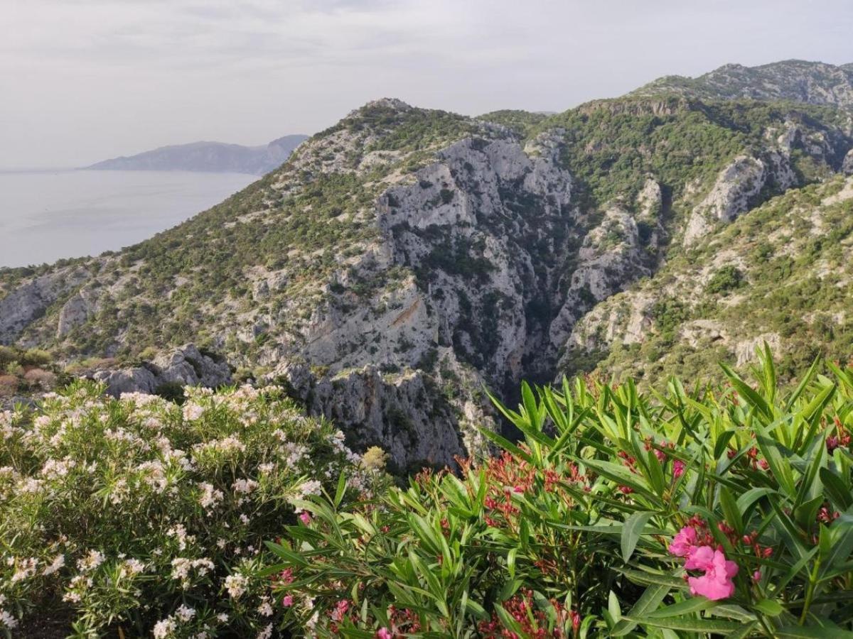 Hotel Turismo Rurale Villa Maria Caterina Cala Gonone Eksteriør billede