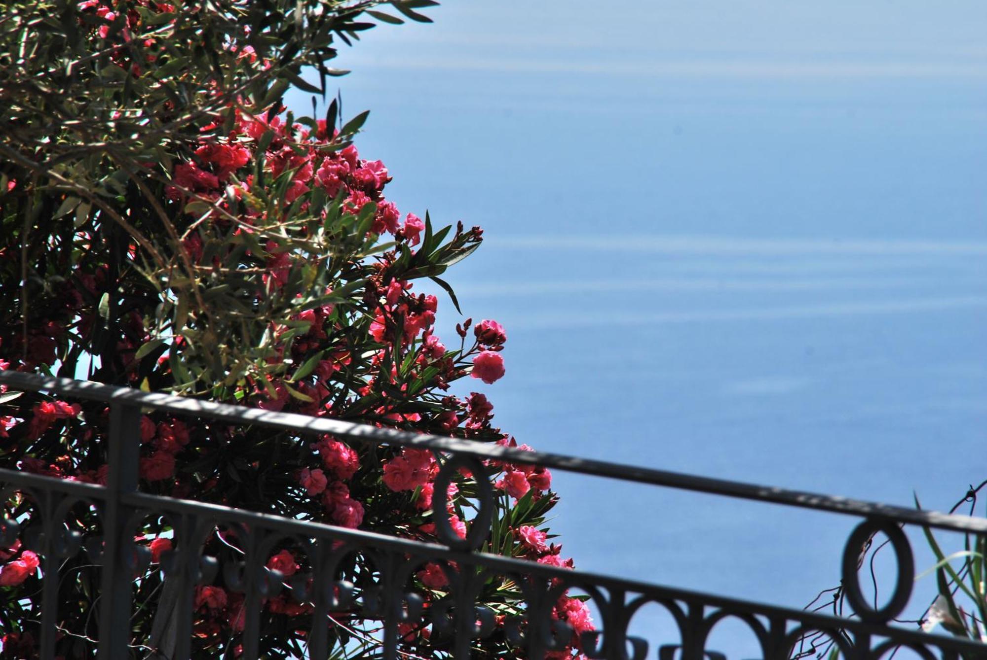 Hotel Turismo Rurale Villa Maria Caterina Cala Gonone Eksteriør billede